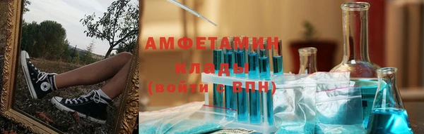 PSILOCYBIN Бородино