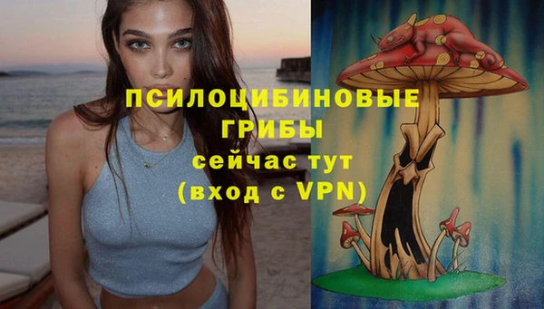 PSILOCYBIN Бородино