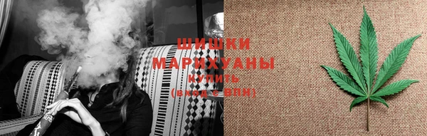 PSILOCYBIN Бородино