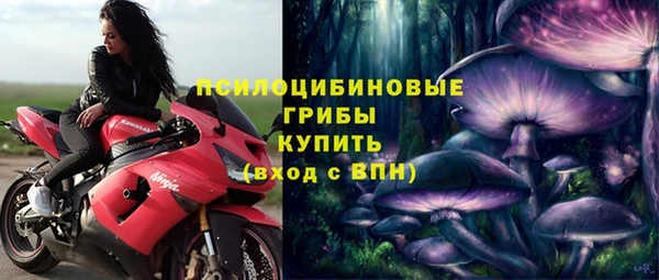 ПСИЛОЦИБИНОВЫЕ ГРИБЫ Бронницы