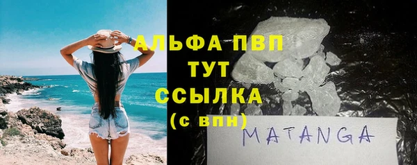 PSILOCYBIN Бородино