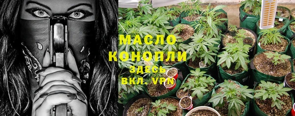 PSILOCYBIN Бородино