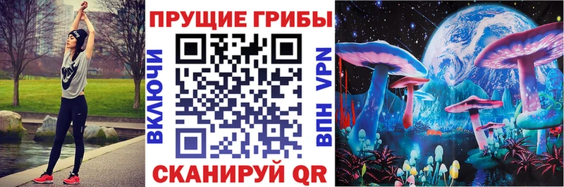 Псилоцибиновые грибы мицелий  Новомосковск 
