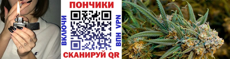 купить наркотики сайты  Новомосковск  Марихуана индика 